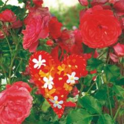 Materialset Filzherz 