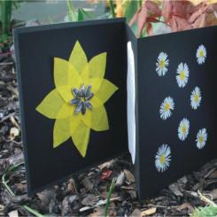 Materialset Leporello 