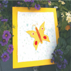 Materialset Schmetterlingsbild 