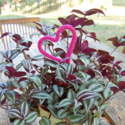 Materialset Strickherz 