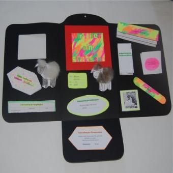 Materialset Lapbook 